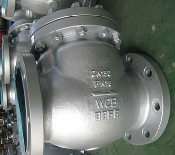 DIN Standard Check Valve