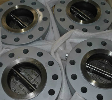 Wafer Check Valve