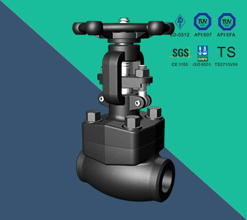 Compact Forged Steel Valves