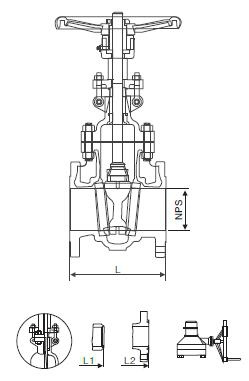 Cast Steel Gate Valve