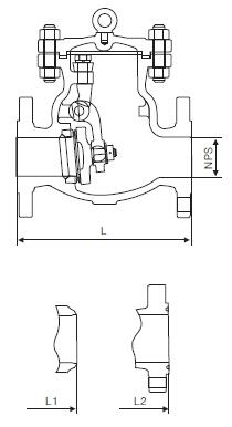 Cast Steel Check Valve