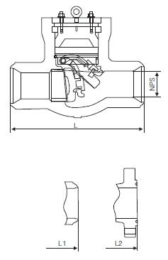 Pressure Seal Check Valve