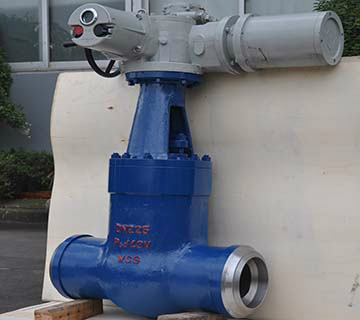 Pressure Seal Gate Valve