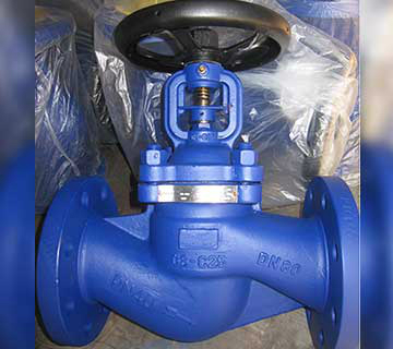 DIN Globe Valve